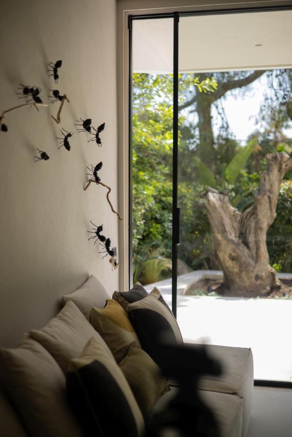 Olea Vouliagmeni Suite Athènes Extérieur photo
